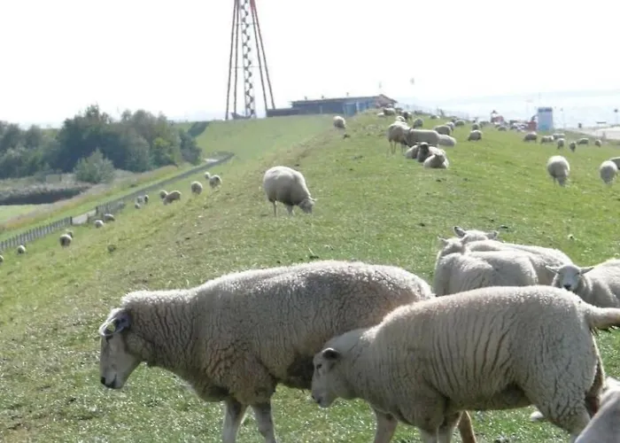 Eul F5 By Interhome Prázdninový dům *